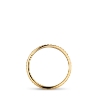 Billede af Jane Kønig Small Reflection ring sølv forgyldt str. 52