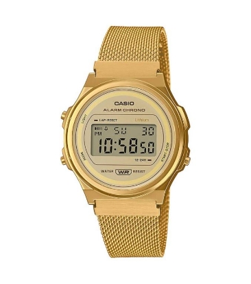 Billede af CASIO VINTAGE A171WEMG-9AEF (593)
