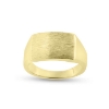 Billede af Herrering massiv lukket bund, plade 11,5*16,5 mm.,14 kt. facon 16,0 gr. (prisen er excl. guld)