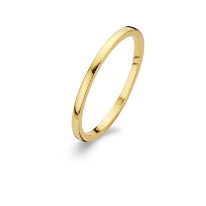 Billede af Spirit Icons ring Polished sølv forgyldt str 58