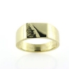 Billede af Ring m. plade 14 kt. facon + 6,9 gr. (prisen er excl. guld)