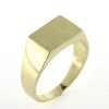 Billede af Herrering m. lukket bund m. plade 9*13mm 18 kt.