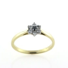 Billede af Ring roset, 7* brill. 1 sort 0,03 +6*0,02 w/vs. 14 kt. 