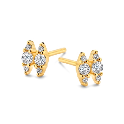 Billede af Spirit Icons Beauty ørestikker forgyldt sølv m. cz