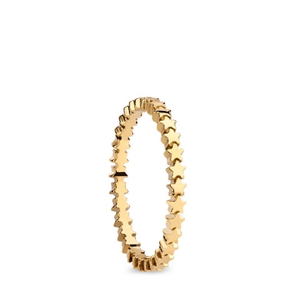 Billede af Bering ring Arctic Symphony inderring poleret guld stjerner (str. 50-75)