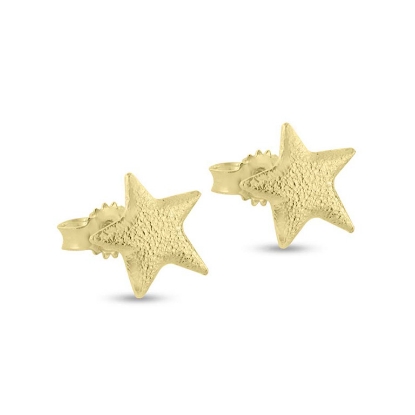 Billede af Ørestik stjerne, massiv 14 kt. 