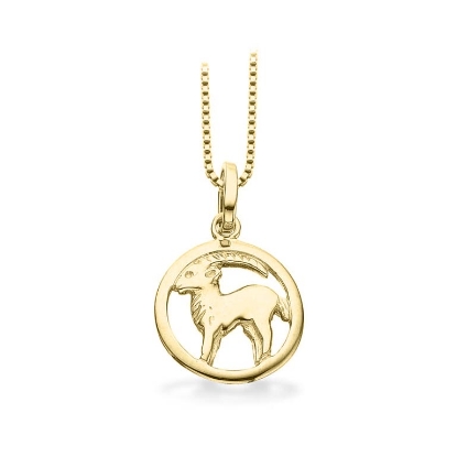 Billede af Stjernetegn Stenbuk 8 kt.