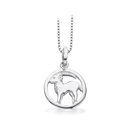 Billede af Stjernetegn Stenbuk sølv