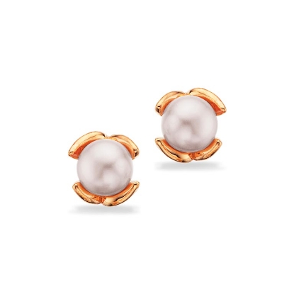 Billede af Scrouples Ørepynt fkp. 8 kt.