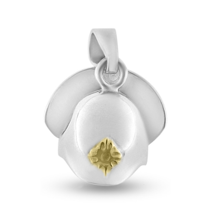 Billede af Vedhæng brandhjelm 925s., stjerne 14 kt.