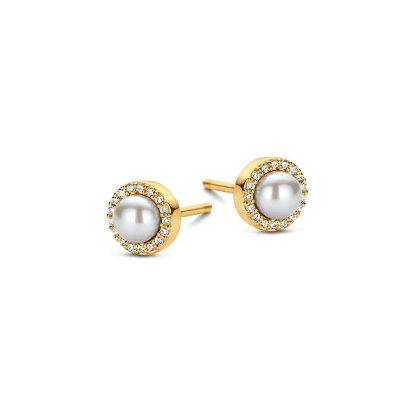 Billede af Spirit Icons Euphoria ørestikker forgyldt sølv m. cz + fvp