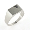 Billede af Herrering m. lukket bund brill. 0,03 w/vs. 14 kt. hvg.