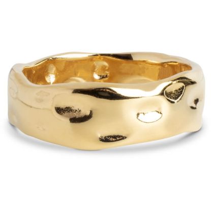Billede af ENAMEL Copenhagen Sandra ring forgyldt sølv (str. 52-59)