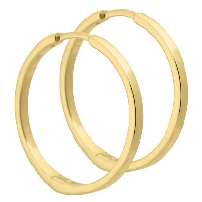 Billede af Aqua Dulce Marion creoler forgyldt sølv (25 mm)