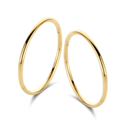 Billede af Spirit Icons Imagine medium hoops 14 kt.
