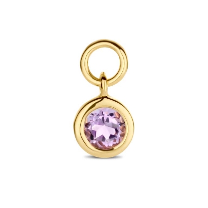 Billede af Spirit Icons Amethyst Drop vedhæng til hoops 14 karat guld med ametyst (1 stk)