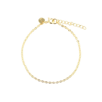 Billede af Aqua Dulce Fancy armbånd forgyldt sølv (17 + 3 cm)