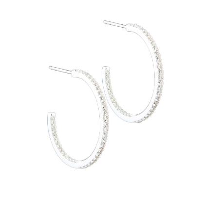 Billede af Aqua Dulce Daphne Large øreringe sølv m. cz