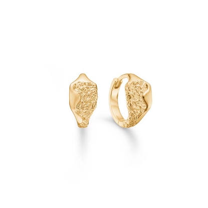 Billede af Studio Z "Edge" øreringe forgyldt sølv