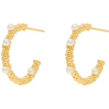 Billede af Nuni Copenhagen Gloria-Medium øreringe forgyldt sølv m. fvp