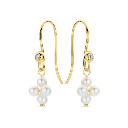 Billede af Spirit Icons Rosalie øreringe 14 karat guld m. 0,04 ct. w/vs + fvp