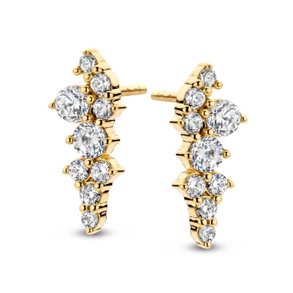 Billede af Spirit Icons Aria øreringe forgyldt sølv m. cz