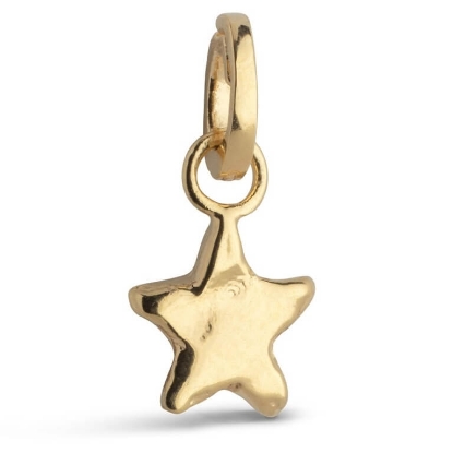 Billede af ENAMEL Copenhagen Charm - Star Energy forgyldt sølv