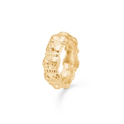 Billede af Studio Z "Urchin Elegance" ring forgyldt sølv (str. 50-60)
