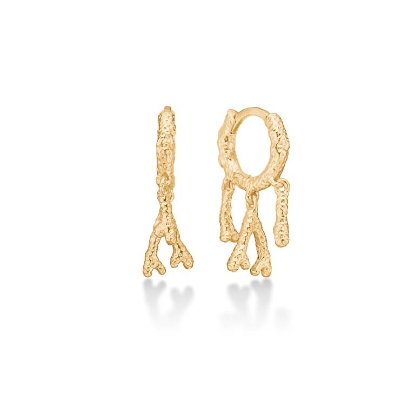 Billede af Studio Z "Reef Essence" øreringe forgyldt sølv