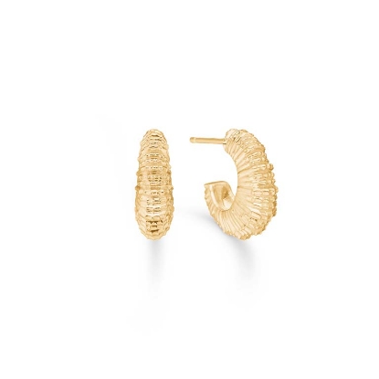 Billede af Studio Z "Seashell Secrets" øreringe forgyldt sølv