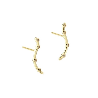 Billede af Aqua Dulce Wavy Stud øreringe forgyldt sølv m. cz