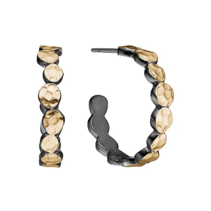 Billede af By Birdie Comet-12 øreringe sølv m. 14 karat guld