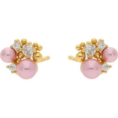 Billede af Nuni Copenhagen Aisha Rose øreringe forgyldt sølv m. fvp+cz