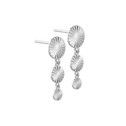 Billede af Aqua Dulce Line Coin Long øreringe sølv