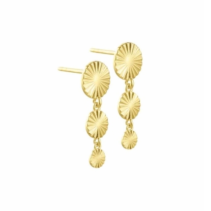 Billede af Aqua Dulce Line Coin Long øreringe forgyldt sølv