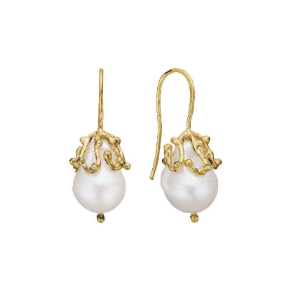 Billede af By Birdie Ponte Golden Buds øreringe forgyldt sølv m. ferskvandsperler