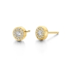 Billede af Spirit Icons Luxury Stud øreringe forgyldt sølv m. cz
