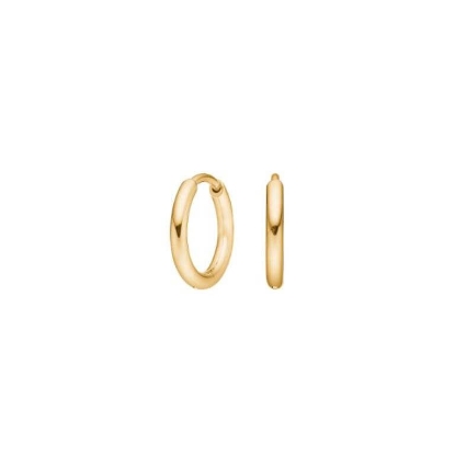 Billede af Pure Titanium creoler forgyldt (10 mm)
