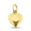 Billede af Vedhæng hjerte, massivt, ovalt øsken, 925s forgyldt
