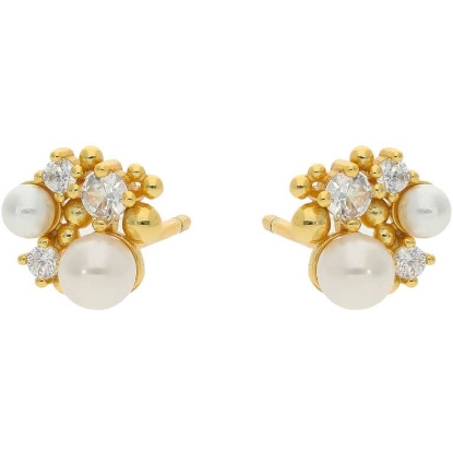 Billede af *Nuni Copenhagen Aisha Pearl øreringe forgyldt sølv m. fvp+cz