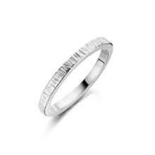 Billede af Spirit Icons Canis (S) ring sølv (str. 60)