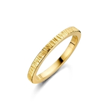 Billede af Spirit Icons Canis (S) ring forgyldt sølv (str. 64)