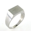 Billede af Herrering m. lukket bund m. plade 9*13mm. forgyldt 925s.