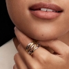 Billede af *Pandora To-tonet Sammenflettede Bånd ring sølv/metalblanding (str. 56)