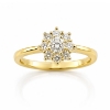 Billede af Rosetring brill. 0,25 ct. w/vs. + 8* 0,04 ct. w/vs. 14 kt. 