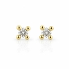 Billede af Dream Delux øreringe 2* 0,12 w/vs. 14 kt. 