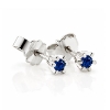 Billede af "Dreamy Sapphire" øreringe m. safir 2*2,5 mm (ca a 0,06 ct) i 14 kt hvg
