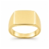 Billede af Ring massiv lukket bund, rek. plade 8 kt.