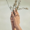 Billede af Mads Z "Four Seasons - Spring Petite" ring 14 kt. guld m. ægte sten (str. 50-60)