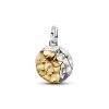 Billede af Pandora Vandmanden Stjernetegn Medaljoncharm sølv/forgyldt metalblanding m. cz (Aquarius)